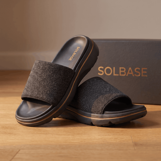Solbase Recovery Slides
